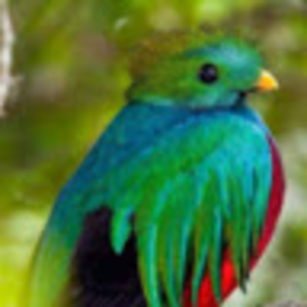 Meet your Posher, Pamella